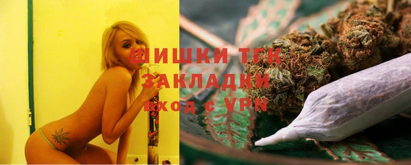 гидра Усмань