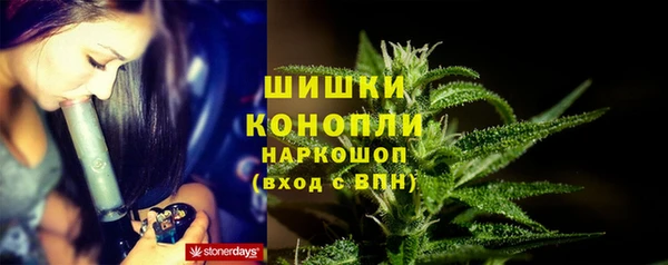 гидра Усмань
