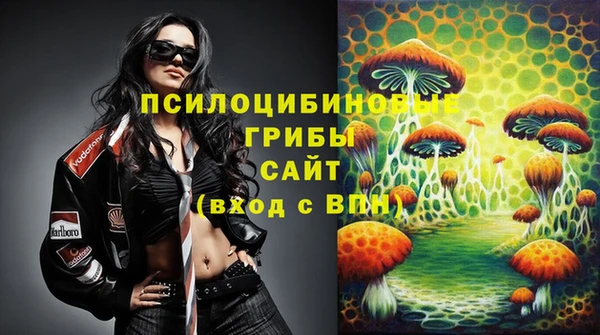 гидра Усмань