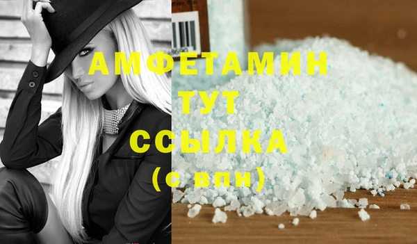 молекула духа Туринск