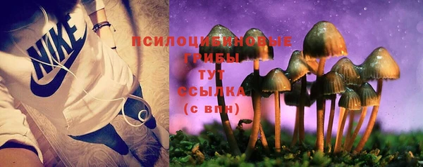 гидра Усмань