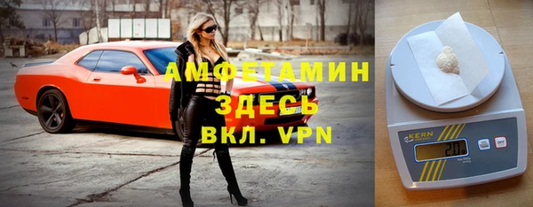 молекула духа Туринск